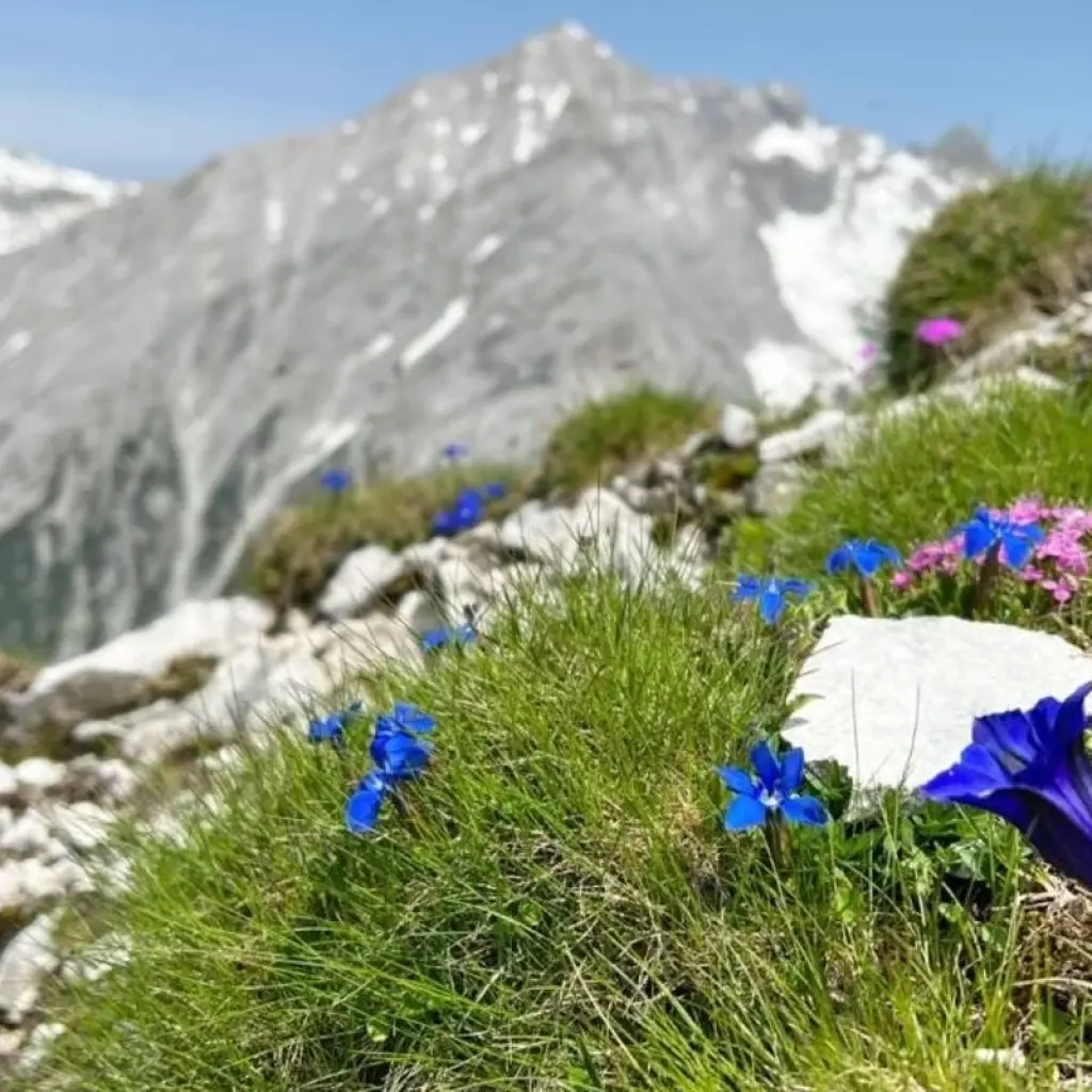 Explore Trans Tyrol: Garmisch - Innsbruck for 8 days with Eurohike and discover unforgettable experiences - Photo 2