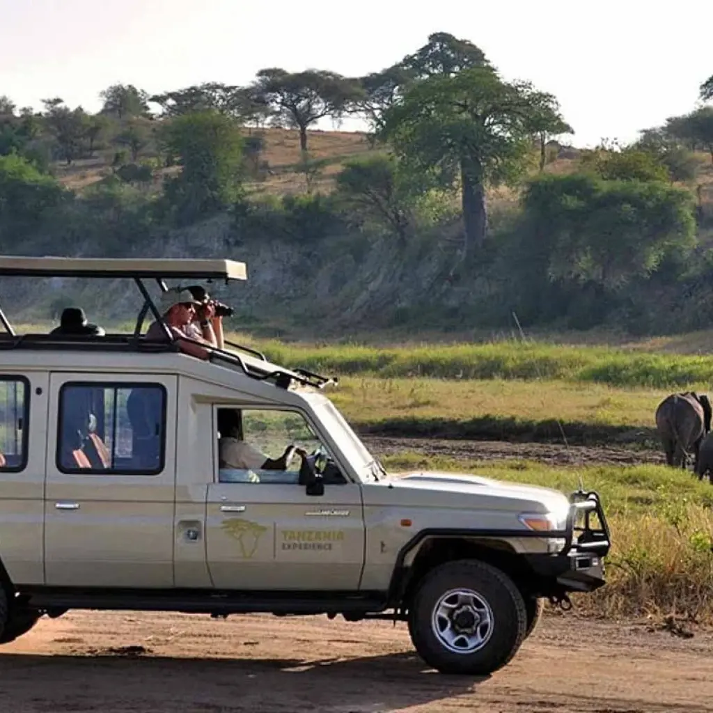 Explore 6 Days Tanzania Budget  Camping  Safari for 6 days with Exciting Africa Holidays and discover unforgettable experiences - Photo 2