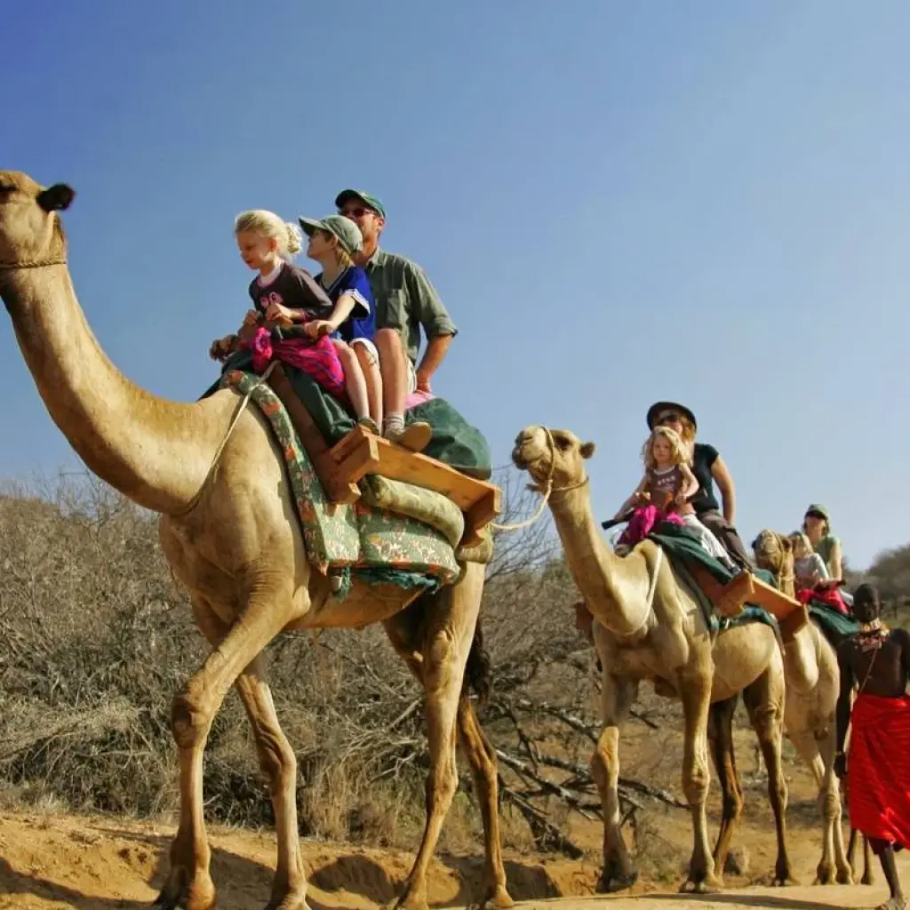 Explore 06 Days Kenya Lodge Safari to Samburu -Nakuru and Masai Mara for 6 days with Exciting Africa Holidays and discover unforgettable experiences - Photo 3