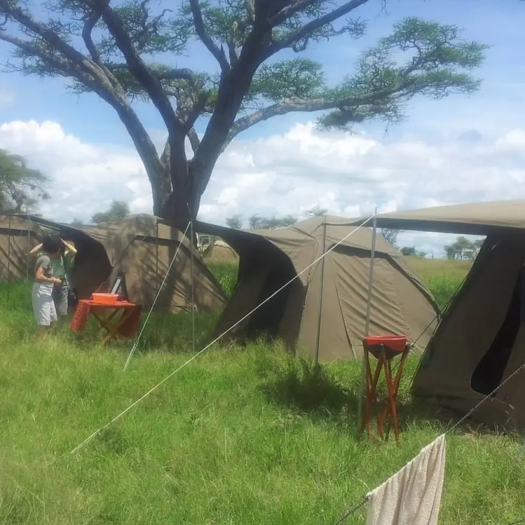 Explore 4-Days Tanzania Mid - Range Safari for 4 days with Exodus African Safari and discover unforgettable experiences - Photo 2