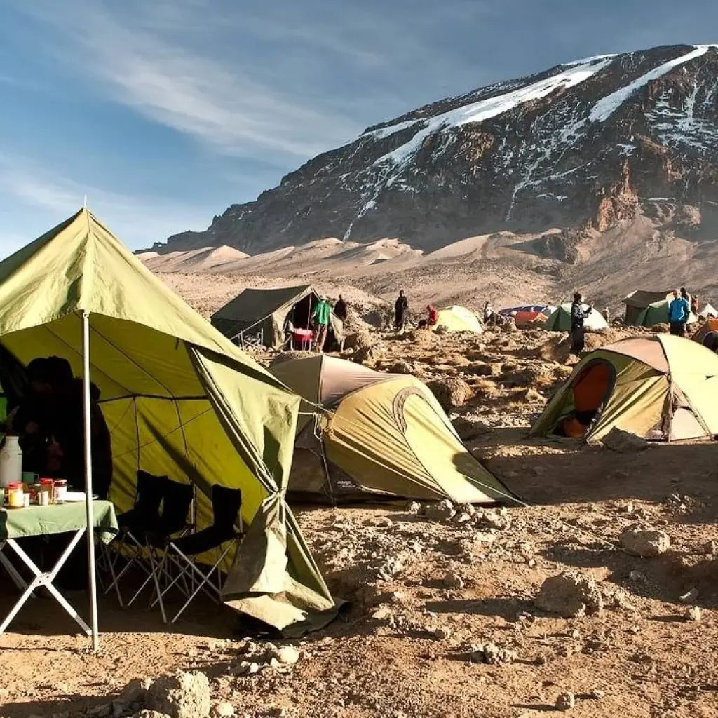 Explore Kilimanjaro Treks, 7-Days Lemosho Route for 7 days with Exodus African Safari and discover unforgettable experiences - Photo 2