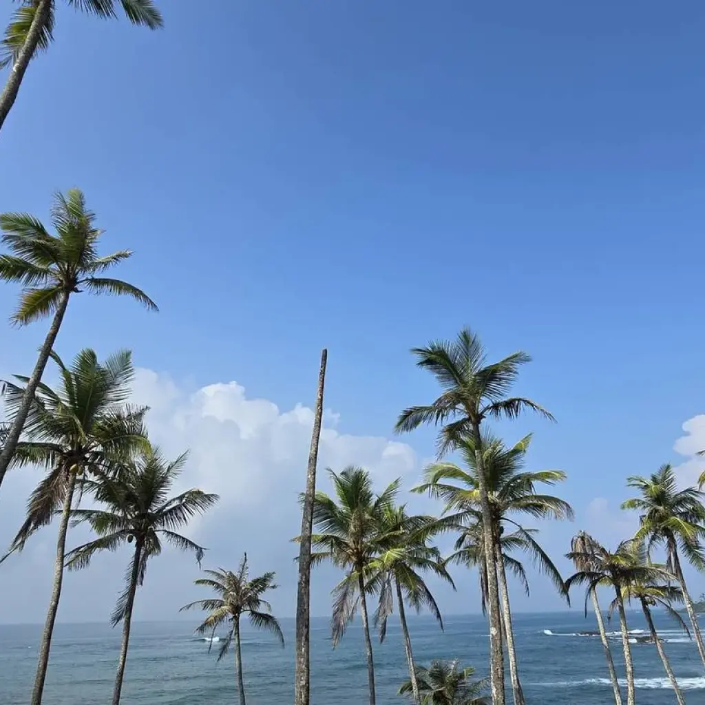 Explore All-in-One Sri Lanka Expedition for 16 days with Exotic Perla and discover unforgettable experiences - Photo 2