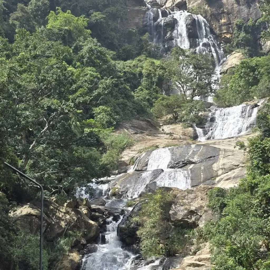 Explore Sri Lanka Grand Discovery Circuit for 12 days with Exotic Perla and discover unforgettable experiences - Photo 2