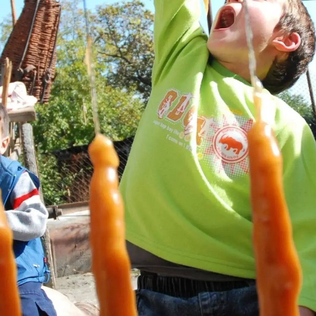 Explore Private adventure journey to Georgia for 7 days with Exotour Georgia and discover unforgettable experiences - Photo 2