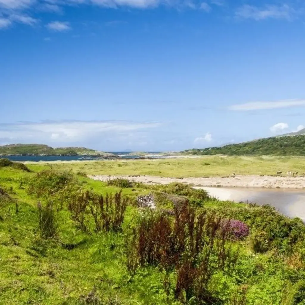 Explore Walking the Kerry Way and Killarney National Park for 8 days with Exodus Adventure Travels and discover unforgettable experiences - Photo 2