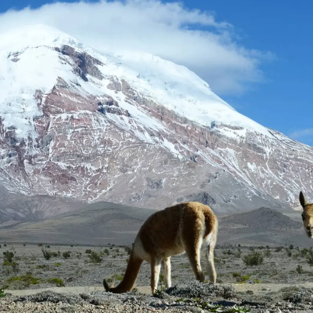 Explore Galapagos Escape - Solaris (Itinerary B) for 6 days with Exodus Adventure Travels and discover unforgettable experiences - Photo 2