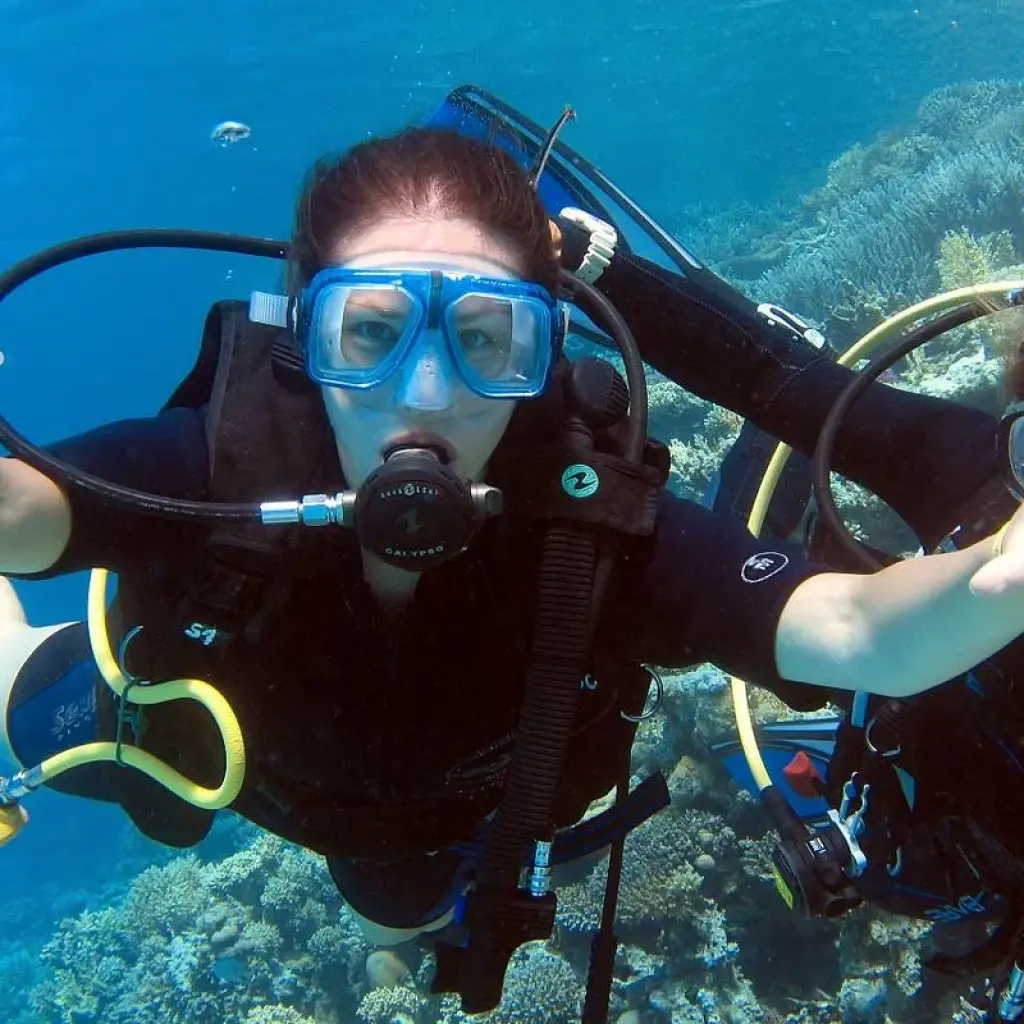 Explore Hurghada Sea Day Tour and Scuba Diving for 1 days with Experience Egypt Tours and discover unforgettable experiences - Photo 2