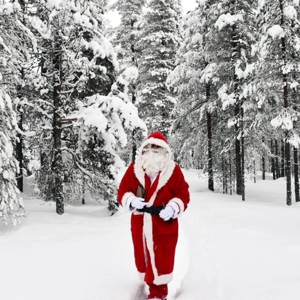 Explore Finland  Highlights & Arctic Adventure with Northern Lights & Glass Igloo for 7 days with Expeditions Gateways and discover unforgettable experiences - Photo 6