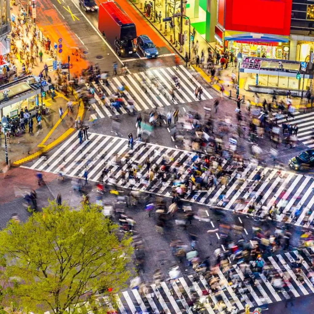 Explore Highlights of Japan for 13 days with Expat Explore Travel and discover unforgettable experiences - Photo 2