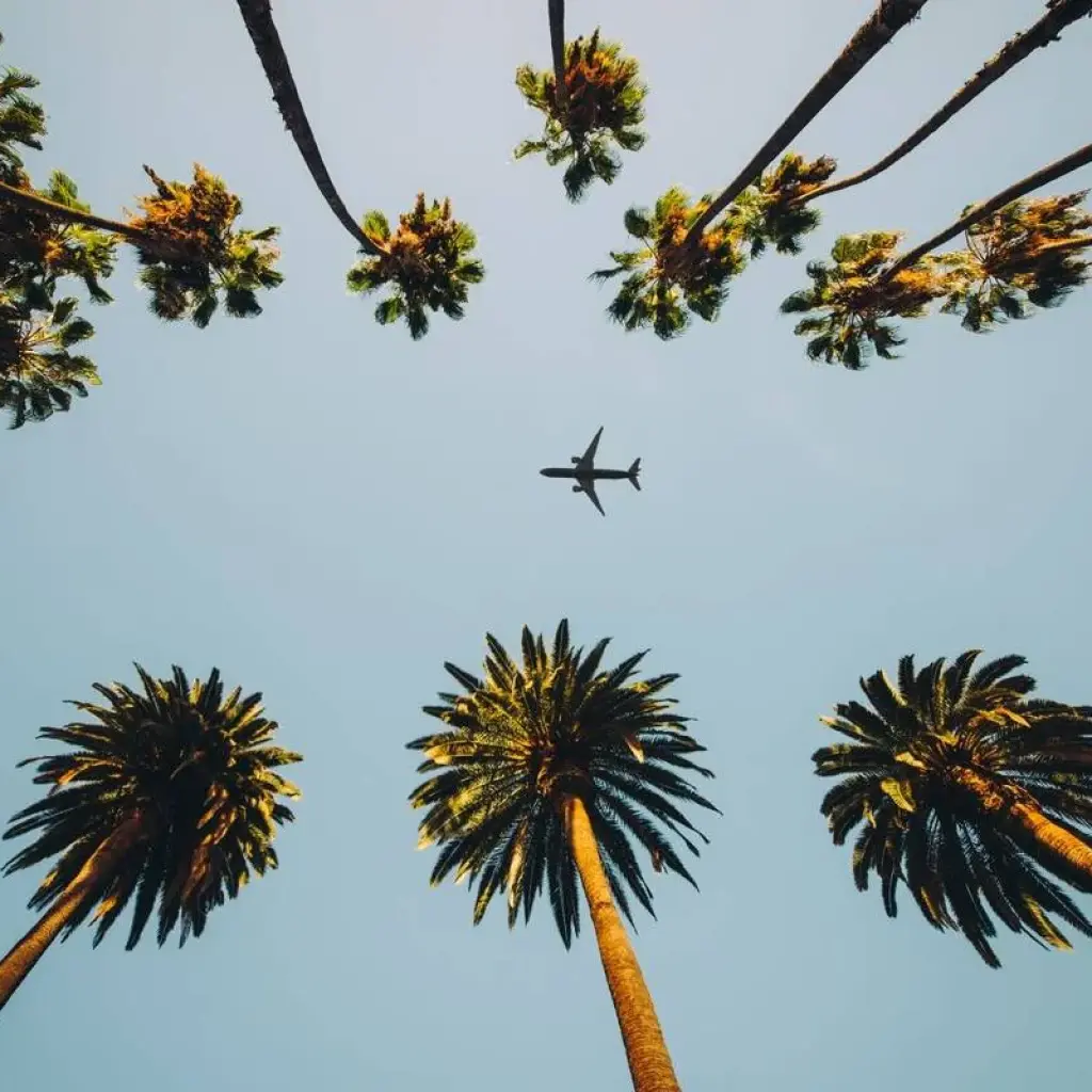 Explore Dreams of the West end in San Francisco for 10 days with Europamundo and discover unforgettable experiences - Photo 2