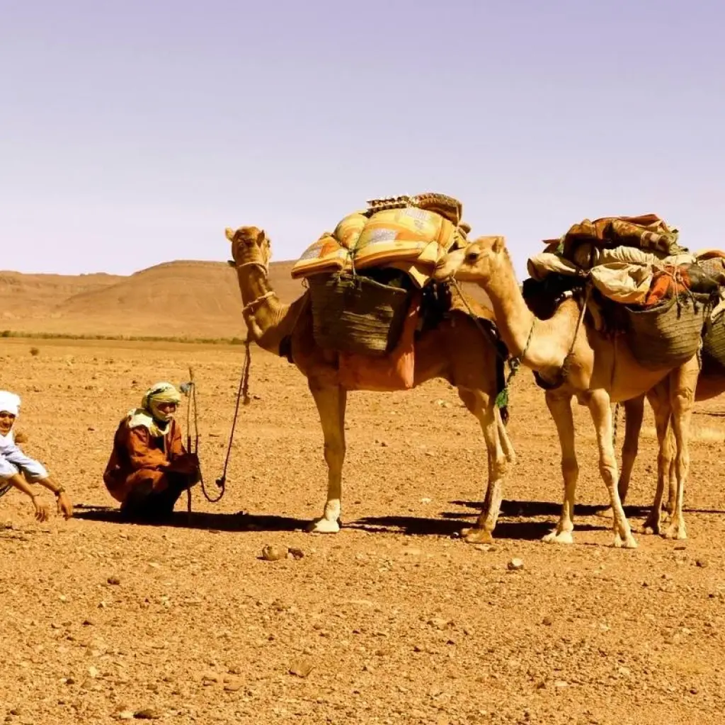 Explore Berber Trekking in the Southern Desert 12 Days for 12 days with Explore Morocco Travel and discover unforgettable experiences - Photo 2