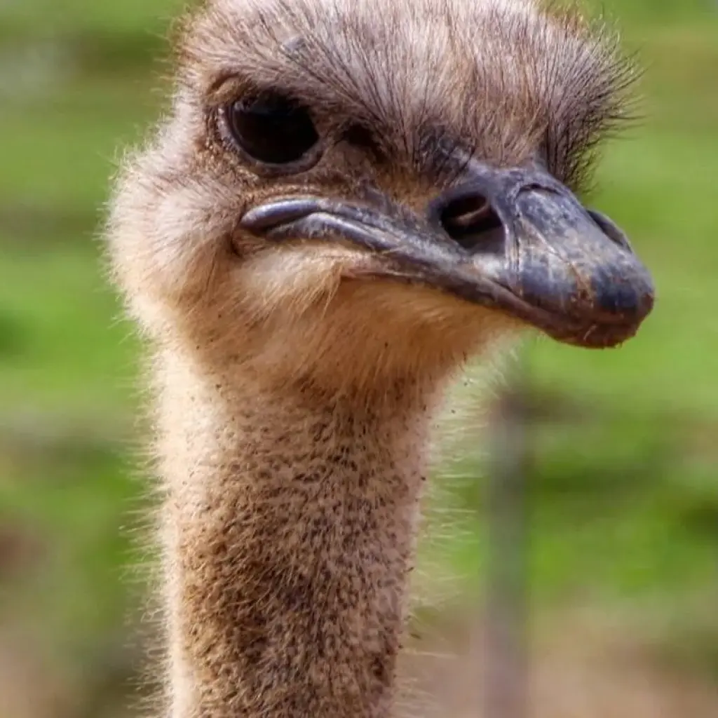 Explore Cape Winelands and the Garden Route for Wine Lovers - 5 Days for 5 days with Explore South Africa and discover unforgettable experiences - Photo 2