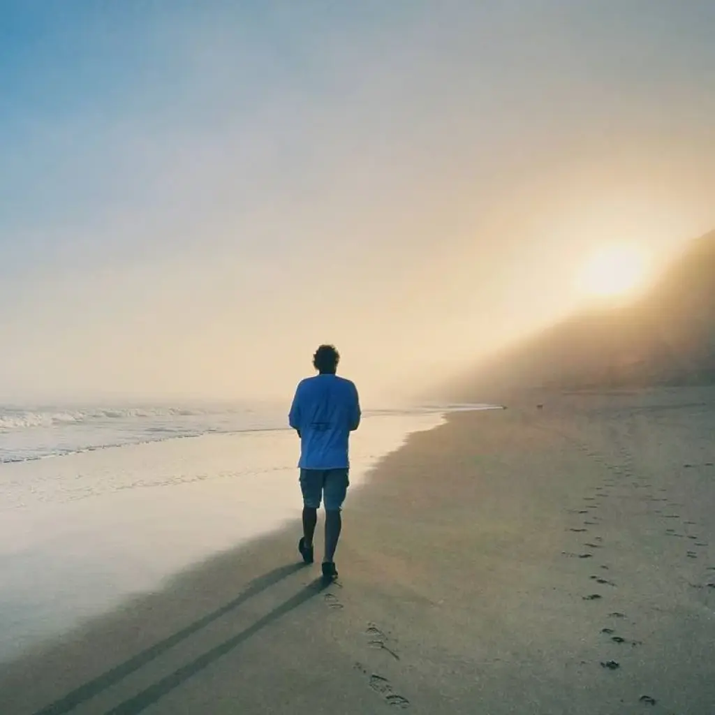 Explore Cape Town - Winelands - Garden Route - Addo National Park:  6 Day Tour for 6 days with Explore South Africa and discover unforgettable experiences - Photo 2