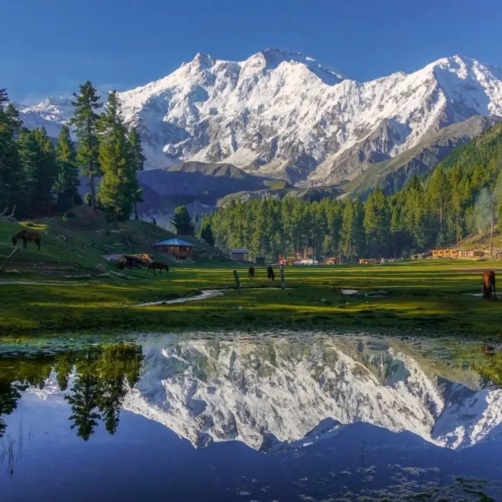 Explore All Pakistan Tour for 27 days with Exploria and discover unforgettable experiences - Photo 2
