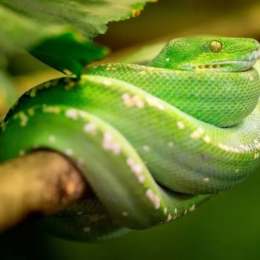 Explore Highlights of Costa Rica for 8 days with Explore! and discover unforgettable experiences - Photo 2