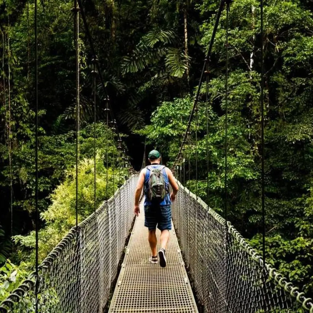 Explore Costa Rica Wildlife Tour (15apr To 20dec) for 15 days with Explore! and discover unforgettable experiences - Photo 2