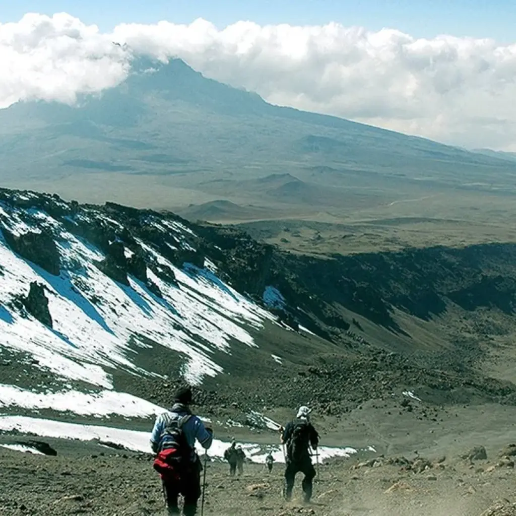 Explore Kilimanjaro - Lemosho Trek + Safari Extension for 13 days with Explore! and discover unforgettable experiences - Photo 2