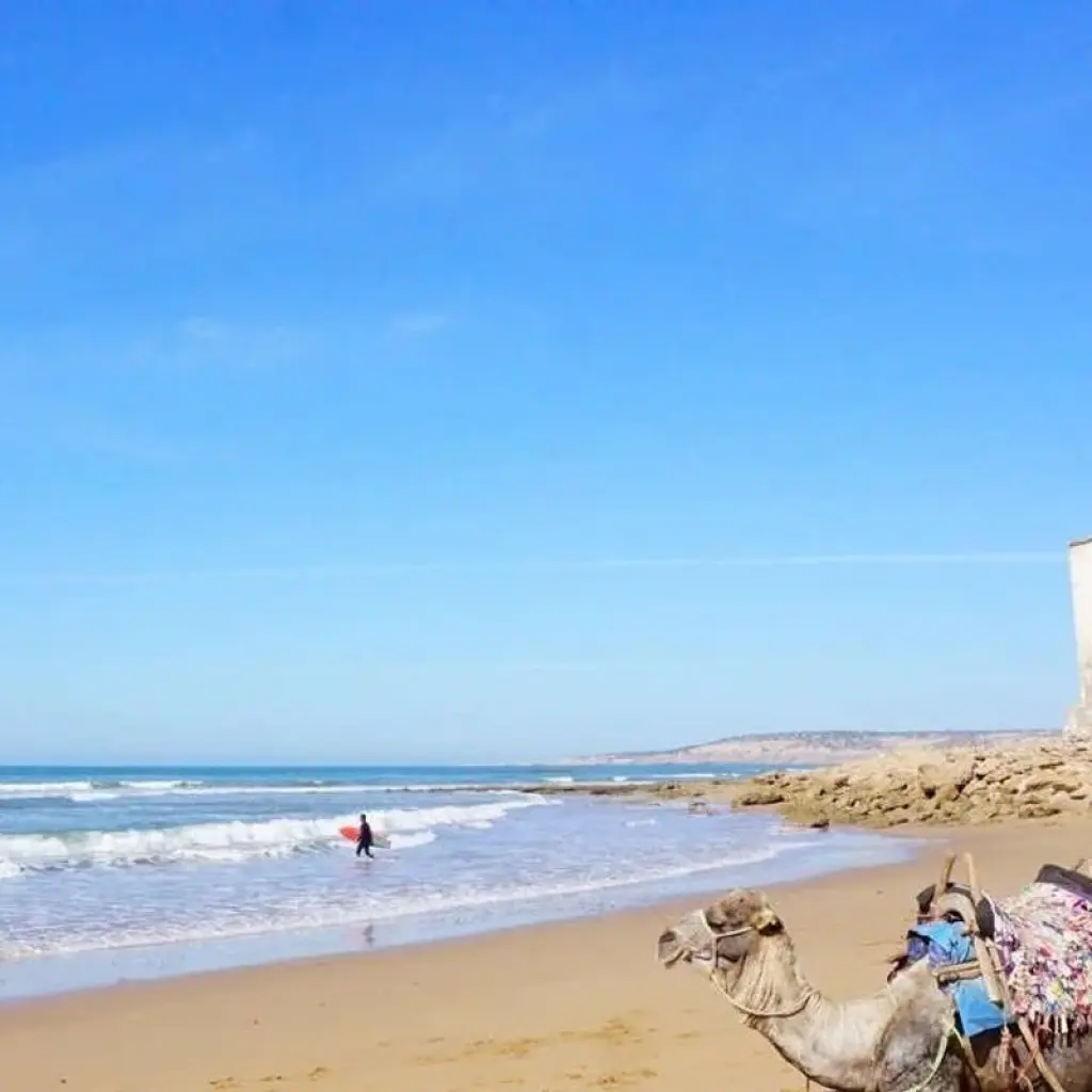 Explore Walking in Morocco - Atlas to Atlantic for 8 days with Explore! and discover unforgettable experiences - Photo 2