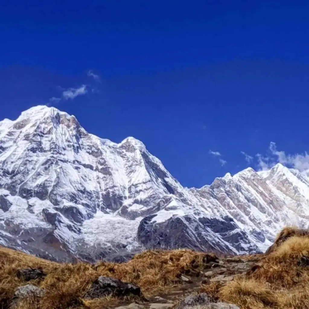 Explore Ghorepani Poon Hill Trek for 5 days with Female Guide Holiday and discover unforgettable experiences - Photo 2