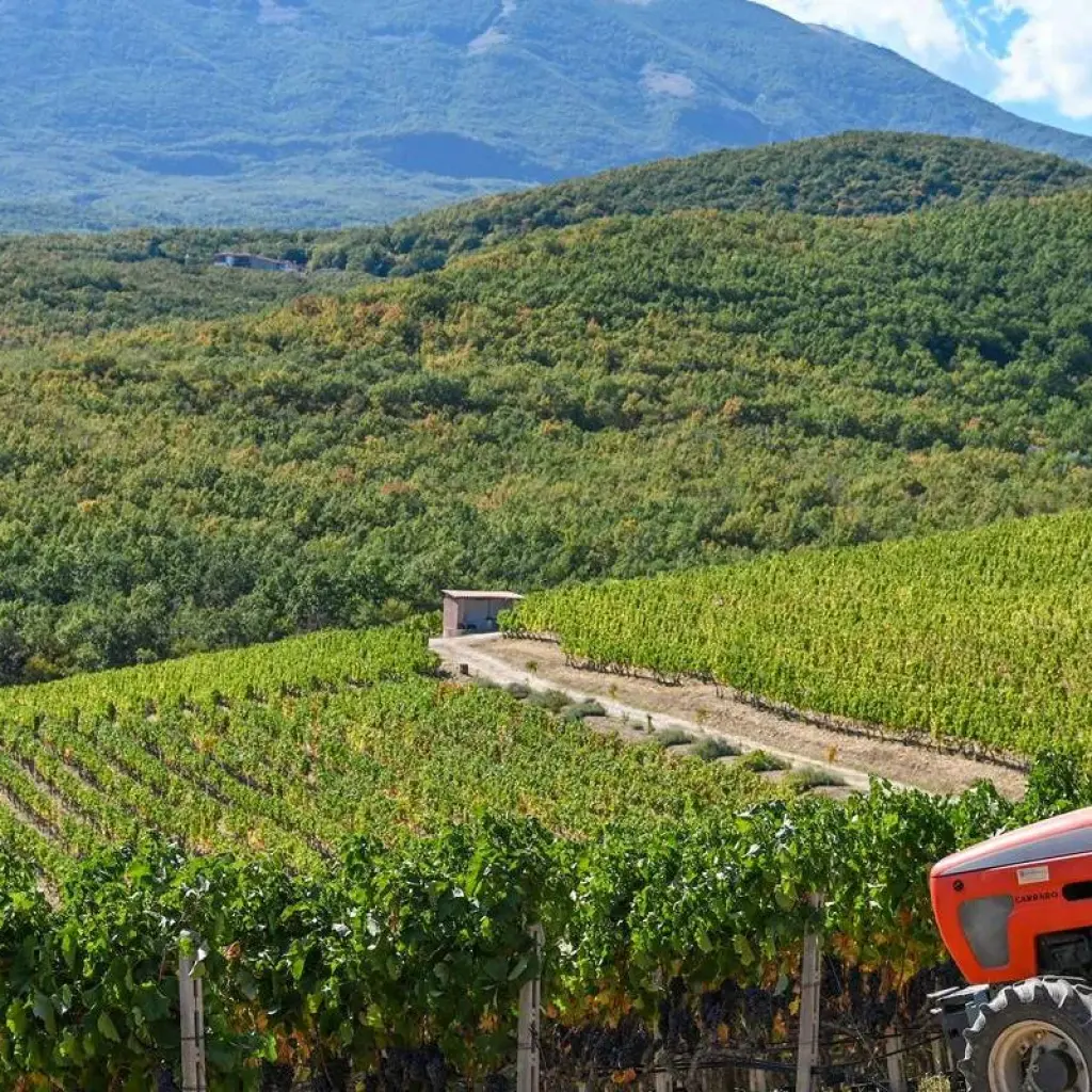 Explore Treasures of Northern Greece - Full Program 8 Days/ 7 Nights Sunday Arrival for 8 days with Filos Holidays and Travel  and discover unforgettable experiences - Photo 2