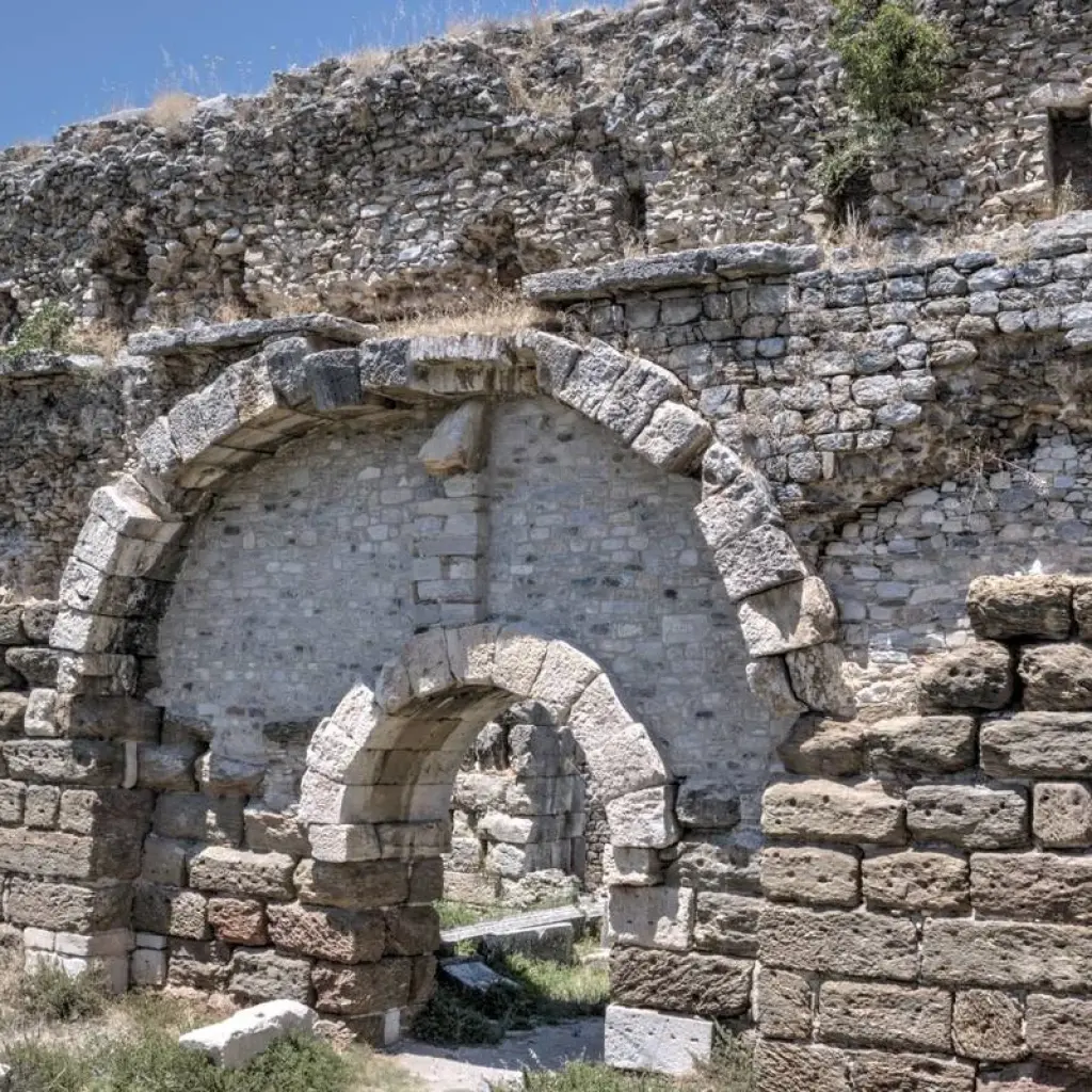 Explore Priene Miletus Didyma Private Tour for 1 days with Fez Travel and discover unforgettable experiences - Photo 2