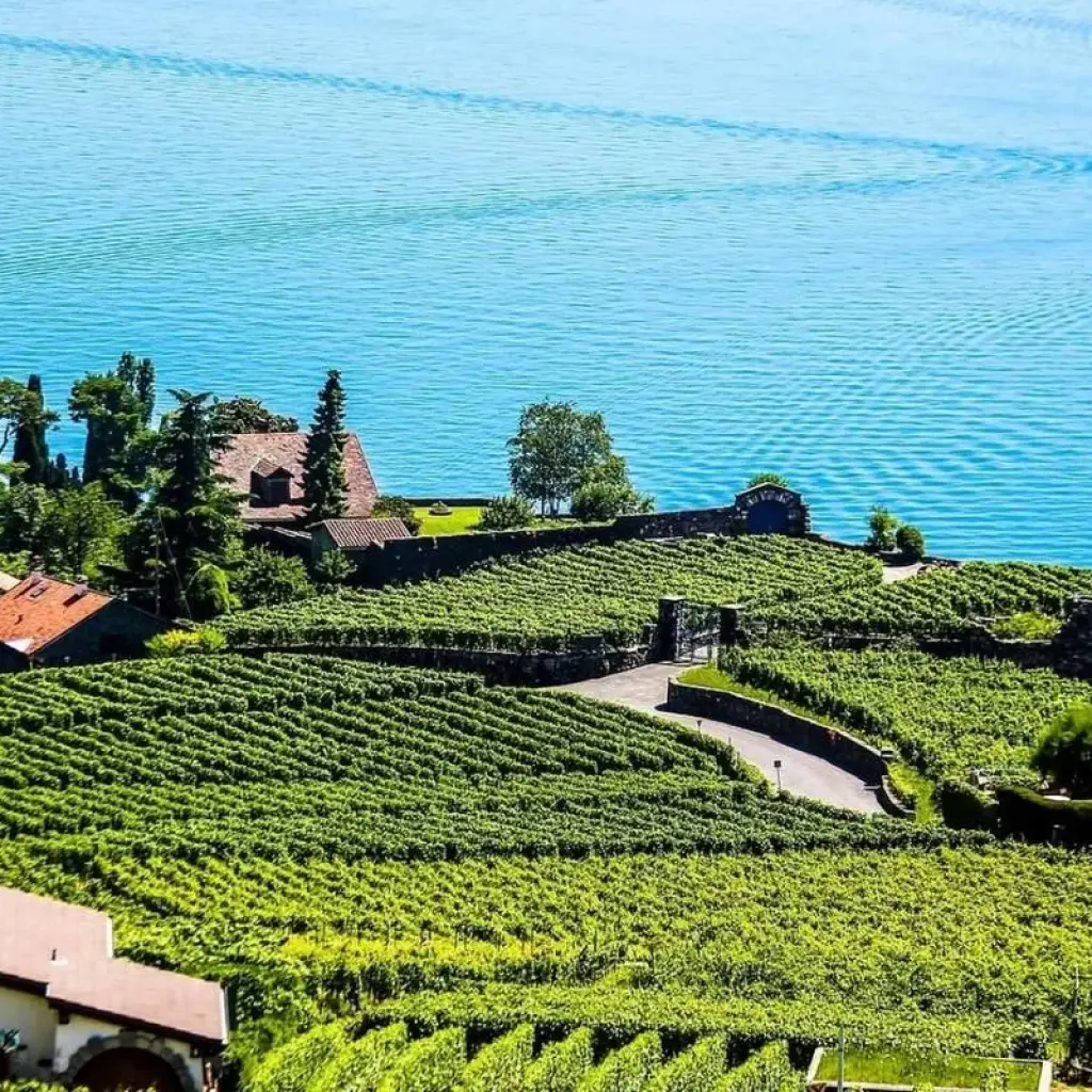 Explore Definitive Switzerland Private Tour for 12 days with Firebird Tours and discover unforgettable experiences - Photo 2