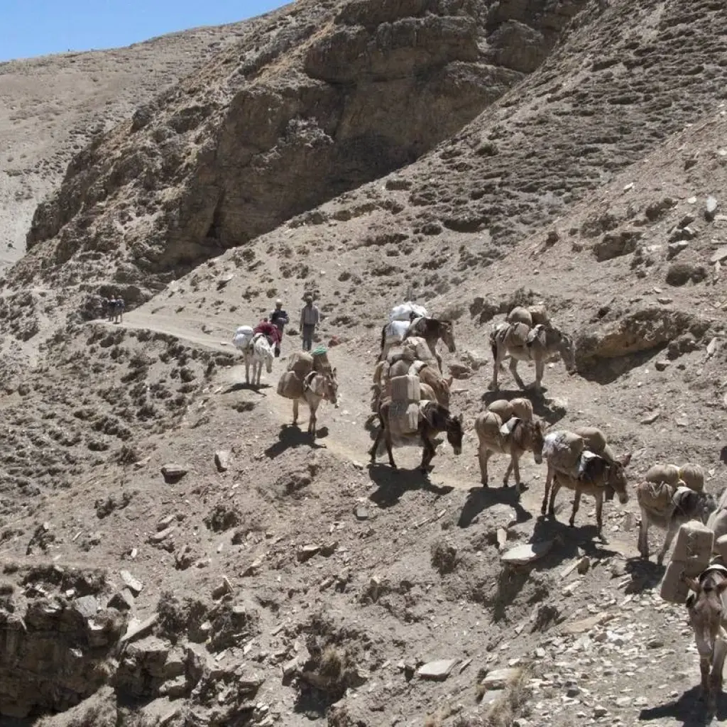 Explore Upper Dolpa Trek for 18 days with First Environmental Trekking and discover unforgettable experiences - Photo 2