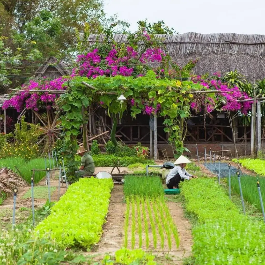 Explore Jewels of Vietnam and Cambodia for 12 days with Footsteps Indochina Travel and discover unforgettable experiences - Photo 2