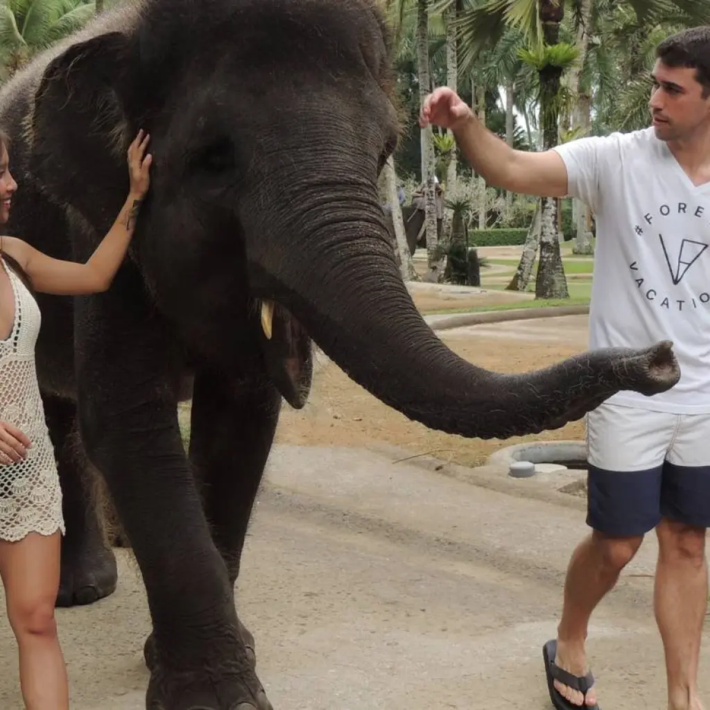 Explore Bali Magical Honeymoon Tour (Private & All Inclusive) for 7 days with ForeverVacation and discover unforgettable experiences - Photo 2