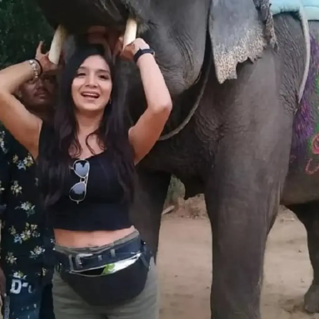 Explore Enchanting  Jaipur  Trip From Delhi  with Amazing Stay in Elephant Sanctuary with All Activity for 2 days with Fragrance of Taj and discover unforgettable experiences - Photo 2