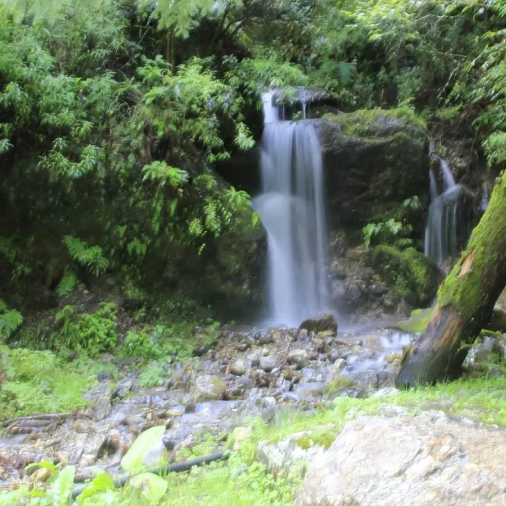 Explore 14-Day Everest Base Camp Trek for 14 days with Frolic Adventure Pvt. Ltd. and discover unforgettable experiences - Photo 2