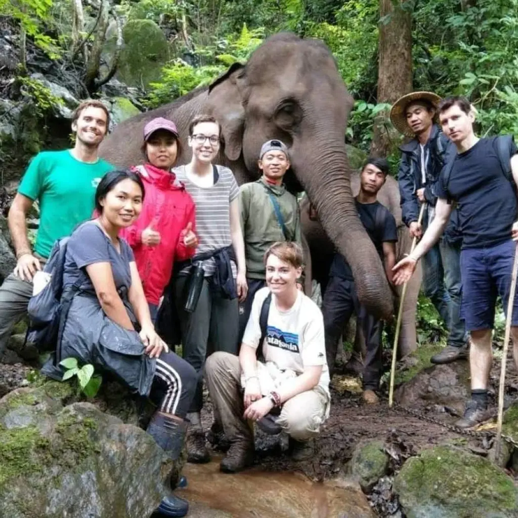 Explore Thailand Elephant Experience: Animal Welfare, Conservation & Jungle Trekking for 8 days with GIVE Volunteers and discover unforgettable experiences - Photo 2