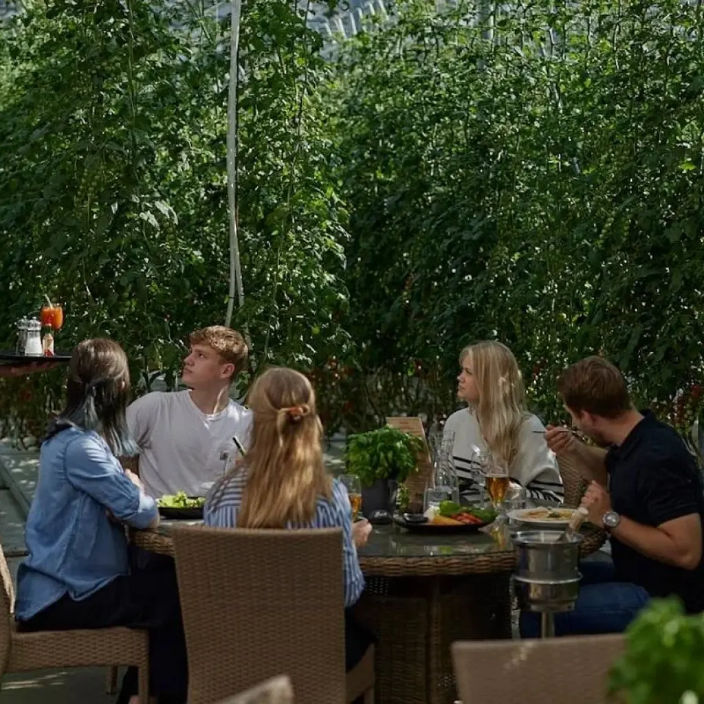 Explore 8 Days Guided Iceland Circle & Northern Lights for 8 days with GJ Travel and discover unforgettable experiences - Photo 2