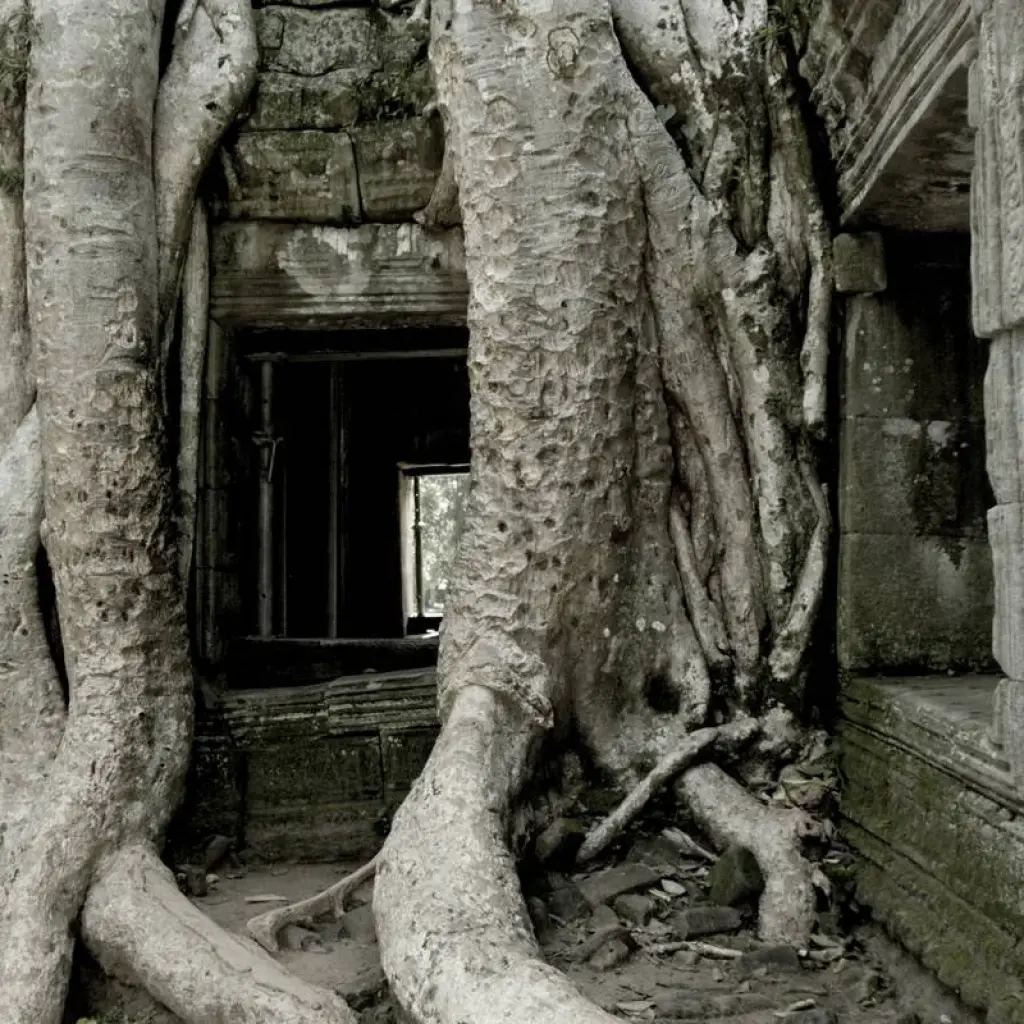 Explore Essential Vietnam & Cambodia for 17 days with G Adventures and discover unforgettable experiences - Photo 2