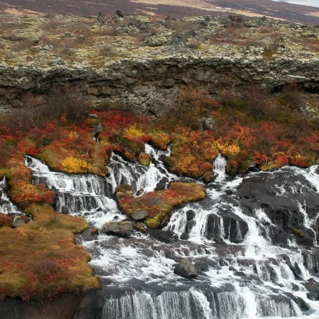 Explore 8 Days Northern Lights Exploration for 8 days with GJ Travel and discover unforgettable experiences - Photo 2