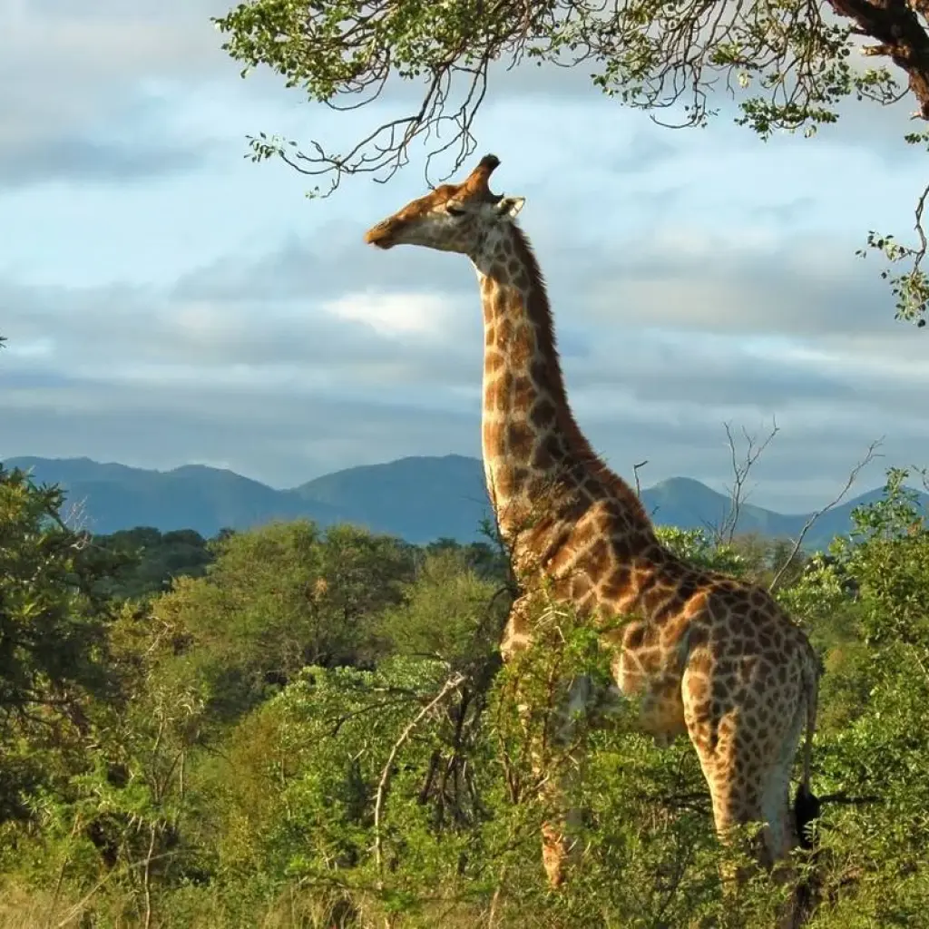 Explore Solo-ish South Africa for 10 days with G Adventures and discover unforgettable experiences - Photo 2