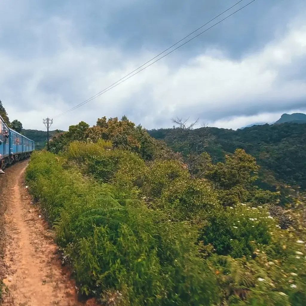 Explore Sri Lanka Encompassed for 14 days with G Adventures and discover unforgettable experiences - Photo 2