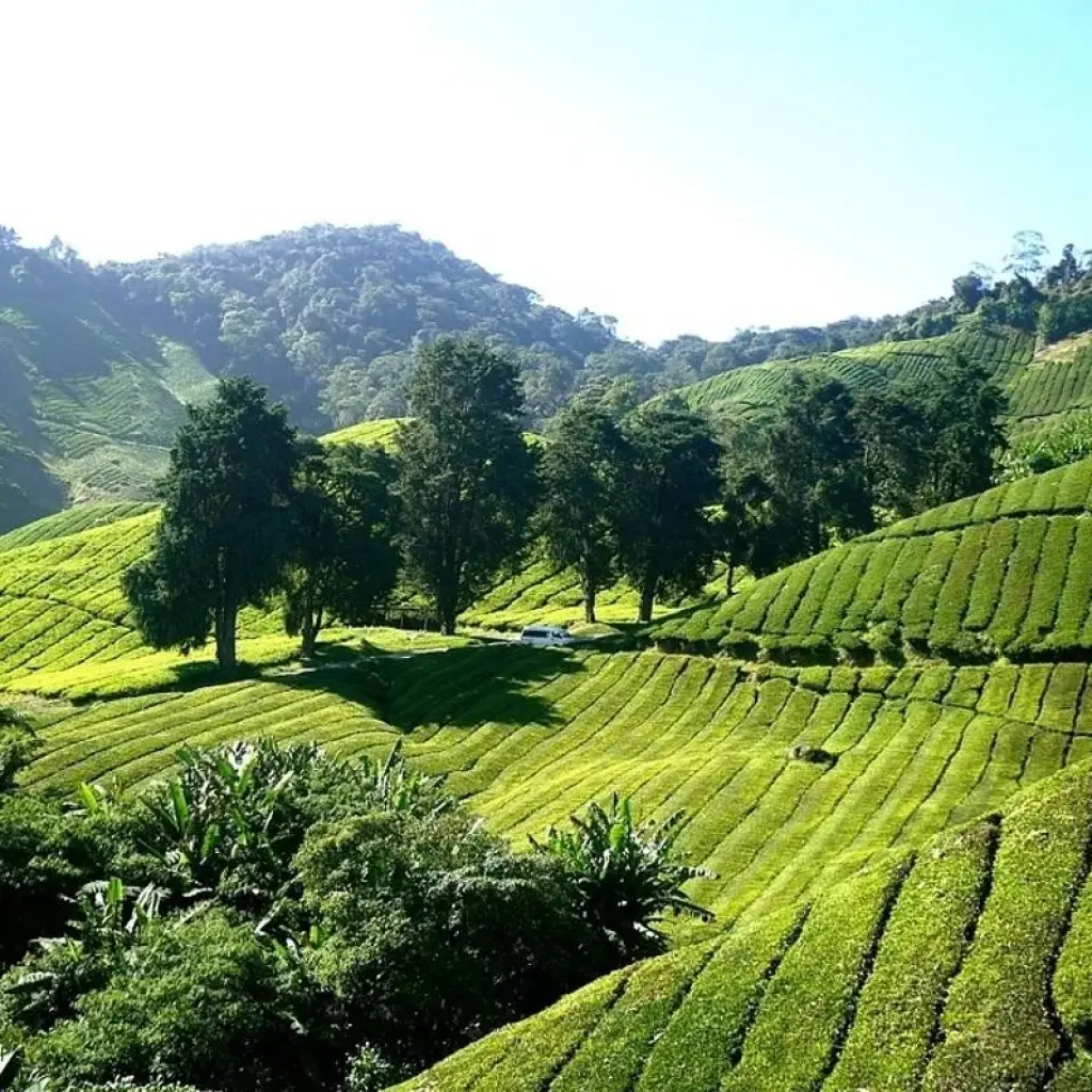 Explore Bangkok to Kuta: Summits & Sunsets for 27 days with G Adventures and discover unforgettable experiences - Photo 2