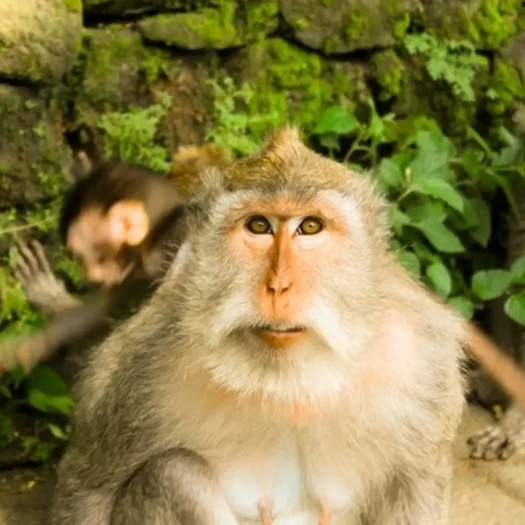 Explore Bangkok to Bali Adventure: Street Eats & Beaches for 34 days with G Adventures and discover unforgettable experiences - Photo 2