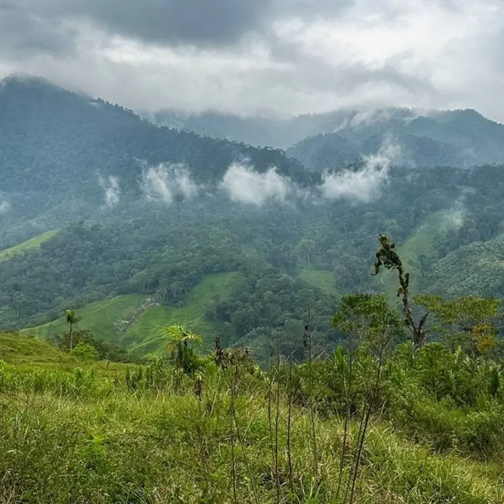 Explore Lost City Trek Colombia 4 Days Tour for 4 days with GUIDEcuador Travel and discover unforgettable experiences - Photo 2