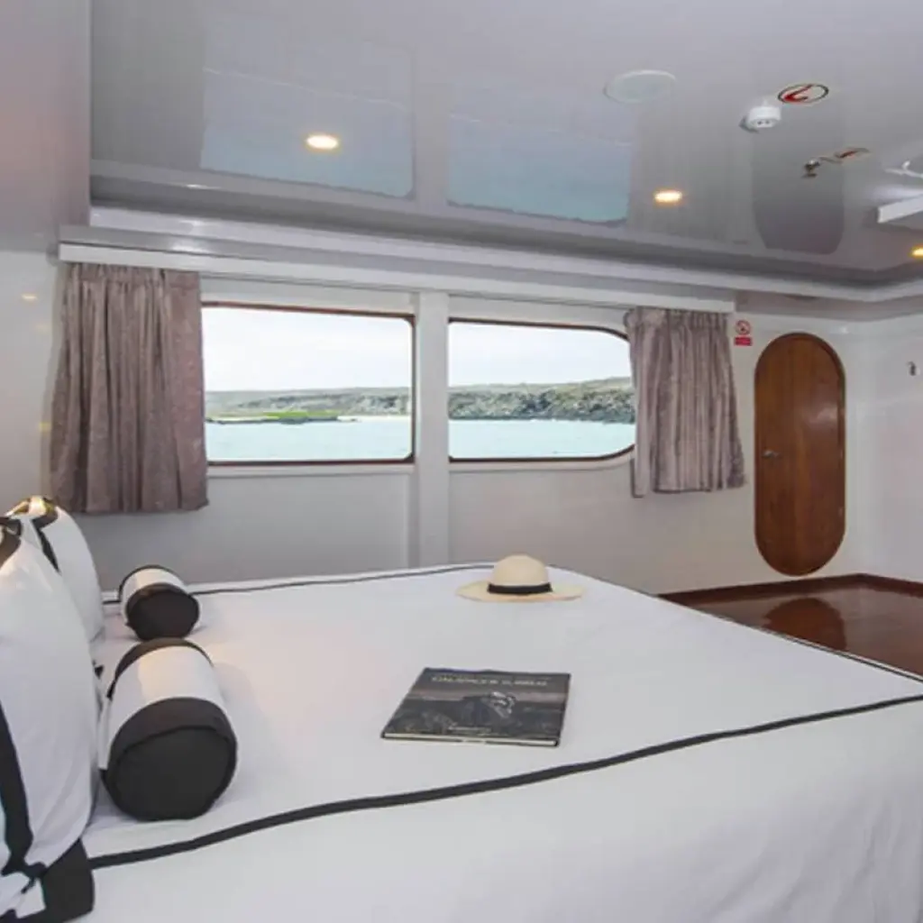 Explore Guide Galapagos Luxury Cruise 9 Days Tour for 9 days with GUIDEcuador Travel and discover unforgettable experiences - Photo 2