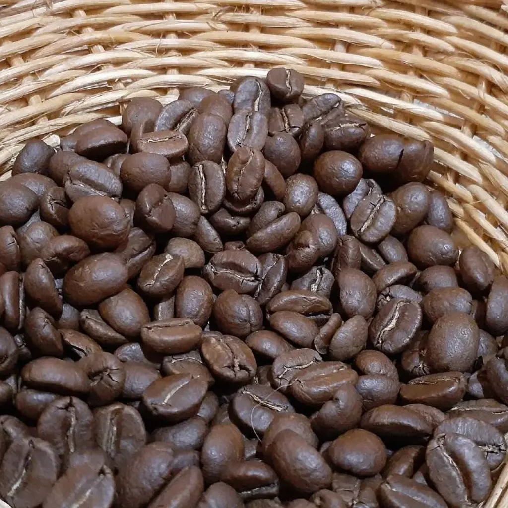 Explore Colombia & Galapagos Express 13 Days Tour for 13 days with GUIDEcuador Travel and discover unforgettable experiences - Photo 2