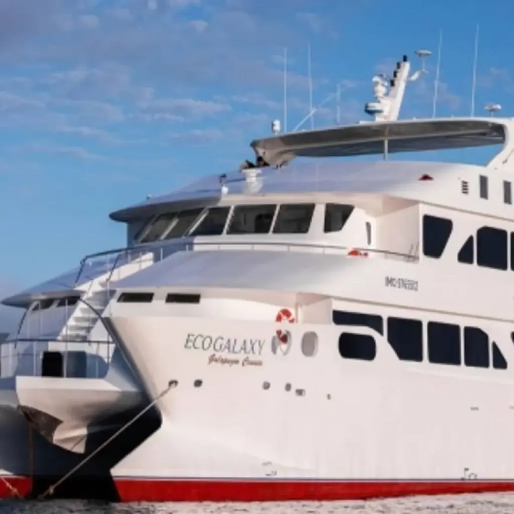 Explore Eco Galaxy II First Class Catamaran 6 Days for 6 days with GUIDEcuador Travel and discover unforgettable experiences - Photo 2