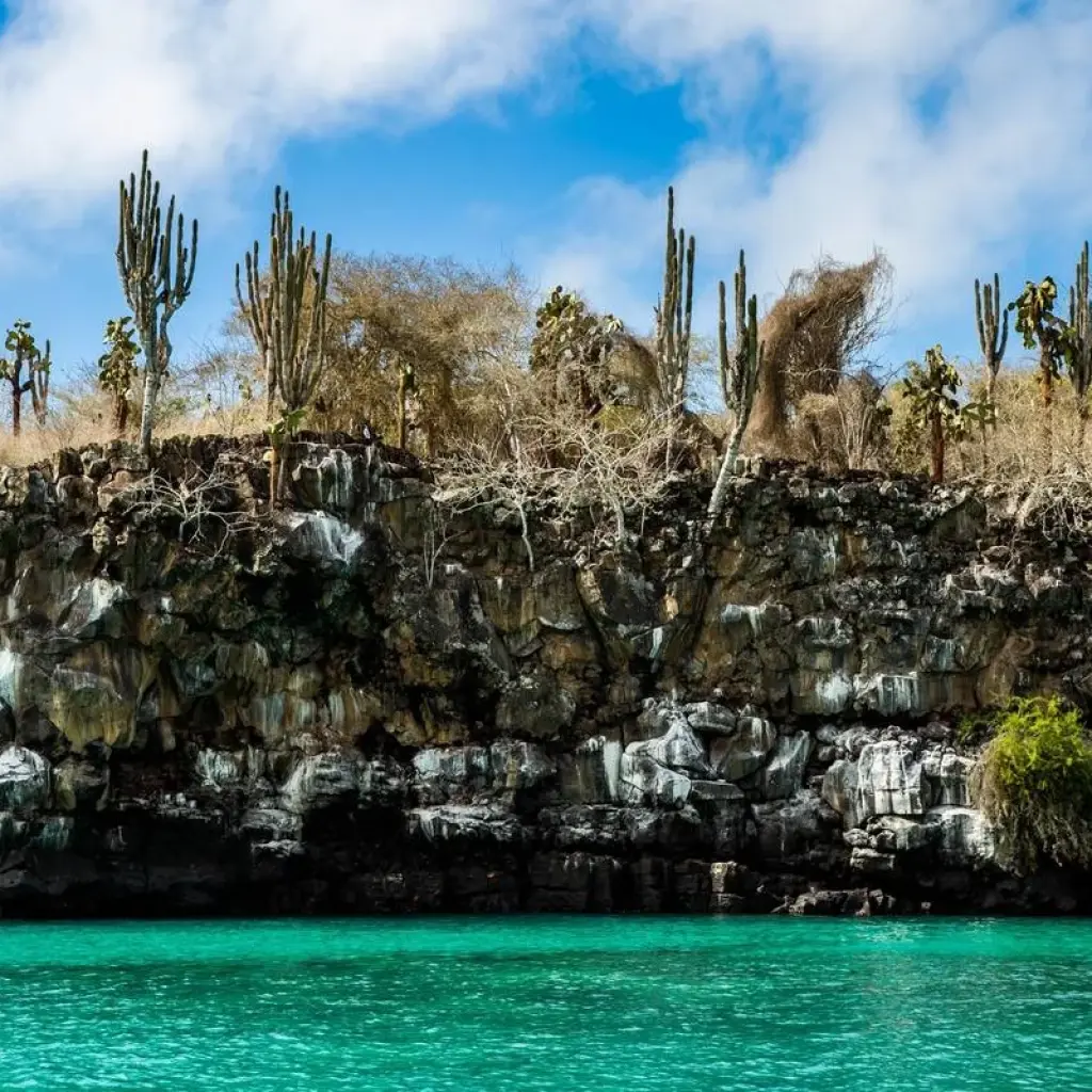 Explore Galápagos Adventure: Snorkelling & Sea Lions for 9 days with G Adventures and discover unforgettable experiences - Photo 2