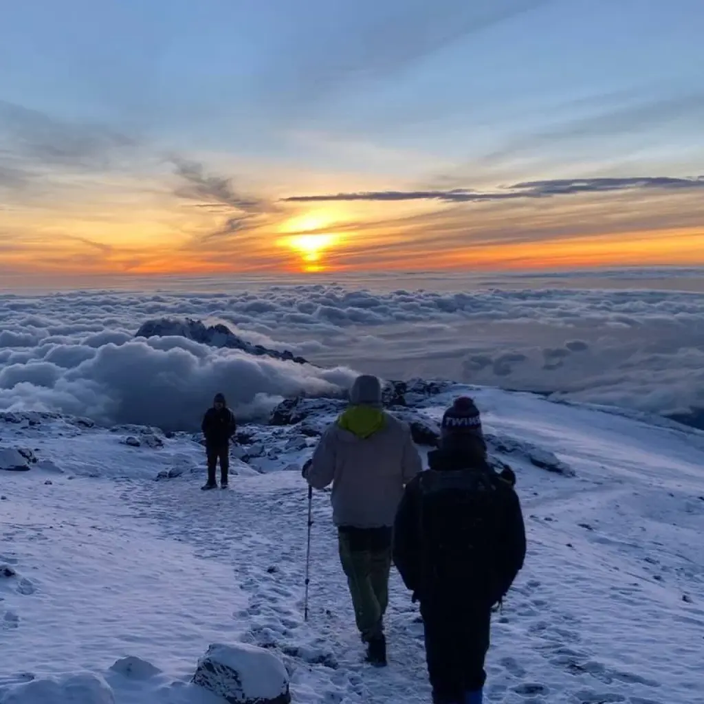 Explore Climb Kilimanjaro Via Marangu Route 5 Days for 5 days with Gecko Adventure and discover unforgettable experiences - Photo 2
