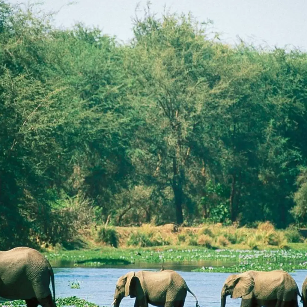 Explore Natural Treasures in Southern Africa for 18 days with Gebeco and discover unforgettable experiences - Photo 2