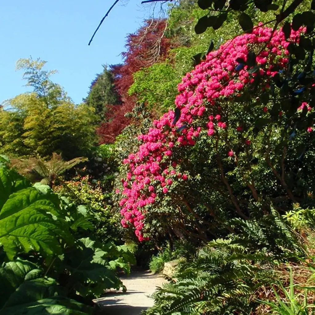 Explore Central England ─ Cottage parks and Landscaped Gardens for 8 days with Gebeco and discover unforgettable experiences - Photo 2