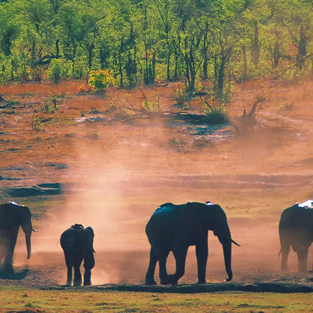 Explore Tanzania and Zanzibar for 14 days with Gebeco and discover unforgettable experiences - Photo 2