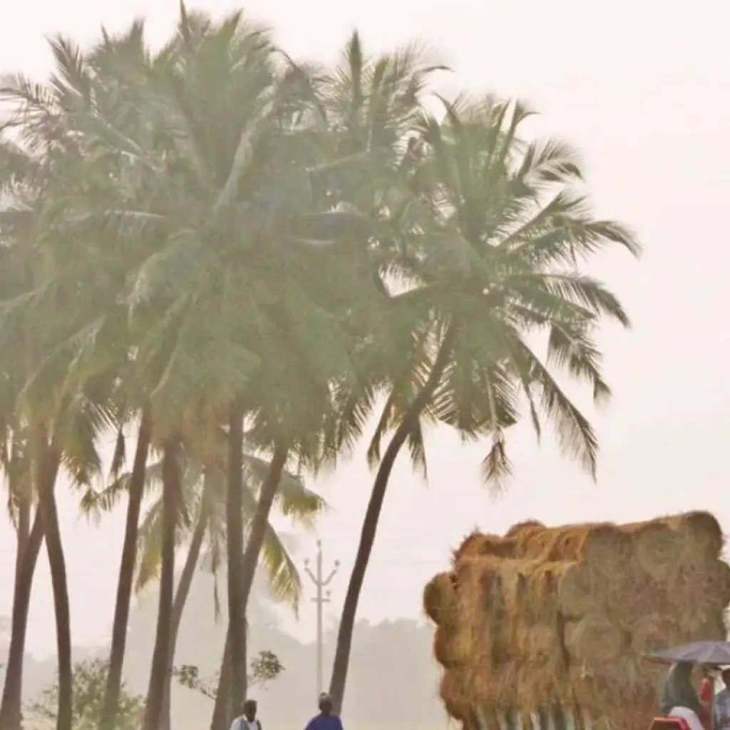 Explore 16 Days Golden Triangle Tour with South India and Backwaters for 16 days with Ghum India Ghum and discover unforgettable experiences - Photo 2