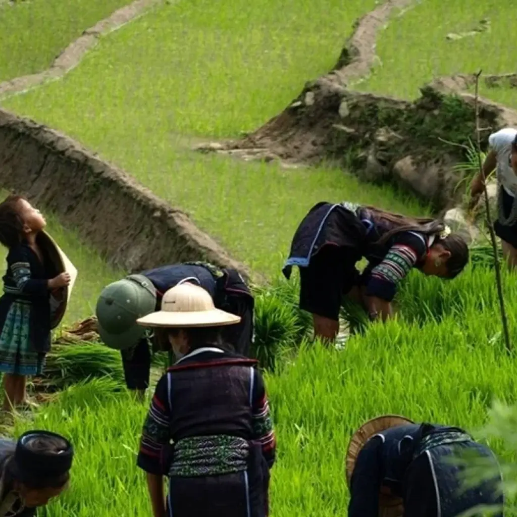 Explore Sapa & Ta Van (Homestay) - 2 Days for 2 days with Go Asia Travel and discover unforgettable experiences - Photo 2